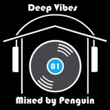 Deep Vibes 01