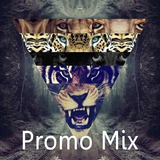 Dr.Dave - Promo Mix