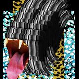INFORMATION/ TITRE: WHITE RIVER mashup selection, MAI 2013. technique: oneshot record selectioner: