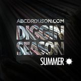 Diggin Season - Summer