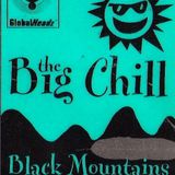 Mixmaster Morris @  Big Chill Gala 1995 pt3