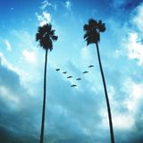 Martinbeatz - Tropical House Mix