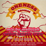 Rise Up Riddim(2014) Mix By MELLOJAH RIDDIM FANATIC CREW