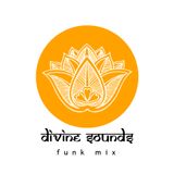 Divine Sounds Funk
