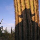 Radio Cactus- Capítulo 3º