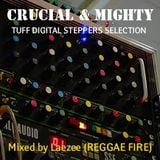 Crucial And Mighty: A Digital Roots Selection