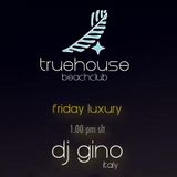 DJ Gino @ Truehouse 22-11-2013