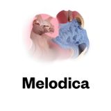 Melodica 18 April 2016