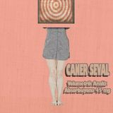 Caner Seval - Volumetrik Analiz Absorbsiyonu 45 mg 2011