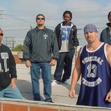 Punk Show Suicidal Special feat. Mike Muir