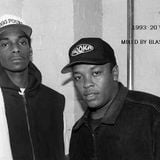 1993 Hip-Hop: 20 years later