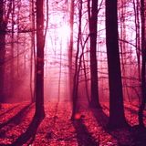 autumn days