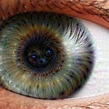 NCN - The Art of Glancing