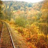 2011 AUTUMN BLEND