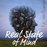 Real State Of Mind (Aldergrau DJ In session)