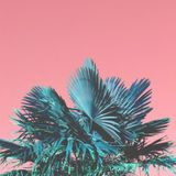Smooth Vibes - Rain Forest Story
