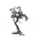 quiet world radio #1