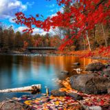 Autum Is Beautiful By Paul Cue (Just House)