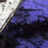 NEYBUU IN THE POND MIXX