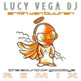 Armin Van Burren - Sometimes (Lucy Vega DJ Remix)