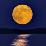 About The Moon