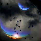 Day & Night