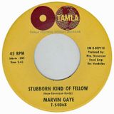 Marvin Gaye Tribute Part 1