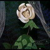 The dreams of a flower