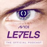Avicii – Levels 009 – 14.11.2012