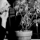 Canciones de Marihuana