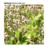 APPLEZUP - delicious apple soup
