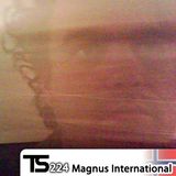 Tsugi Podcast 224 : Magnus International