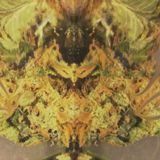 Electronica Masterpieces #1 -- July 1st 2015