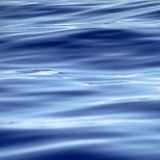 In The Flow