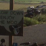 Moo Boost 20-06-2012