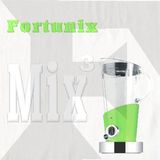Progressive Mix (Day Din, Klopfgeister, Neelix, Interactive Noise, Vaishiyas) - Fortunix