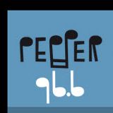 PEPPER RADIO JAN 2015 - make you crazy