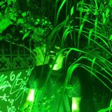 indiehousefuturediscodancingmix