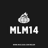MLM Podcast14