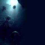 The Deep Waters (∂єєρ ωαтєяѕ)