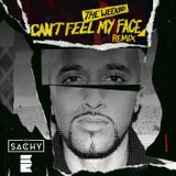 Mr Sachy - Cant feel my face