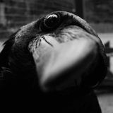 Dark Minimal Techno Mix