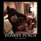 Donkey Punch Mix
