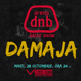 Arena dnb radio show - vibe fm - mixed by DAMAJA - October 28th 2014
