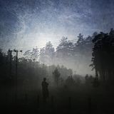 Are we Sleepwalking?
