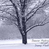 Januar Podcast mixed by Danny Fiedler ( Fresh Music Records ) Leipzig