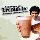 SoulBrigada pres. Tropidelic Vol. 1