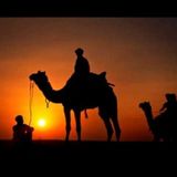 lost in the desert