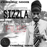SIZZLA : THE KALONJI FILES