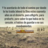 DOSIS DIARIA "Y Te acordaras de DIOS" Dt.8: 2
